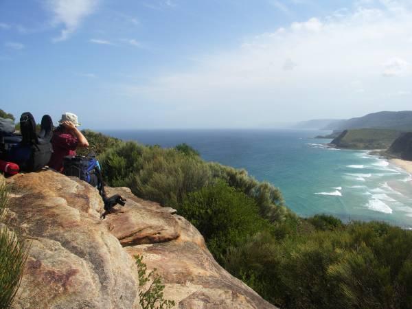 royal nat. park - coastal walk