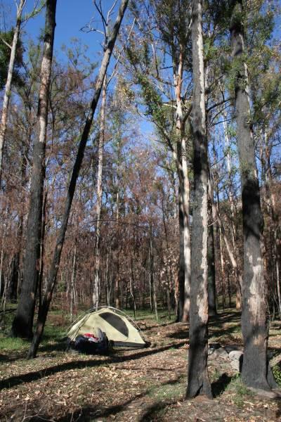 Acacia Flat Campsite