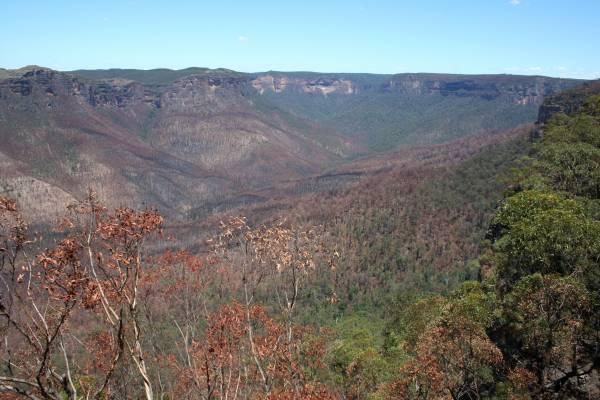 Grose Valley, south