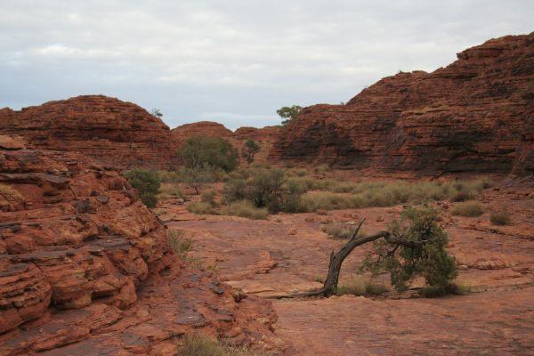 the rim