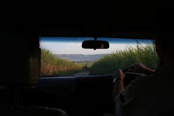 Dymocks Sugarcane Farm
