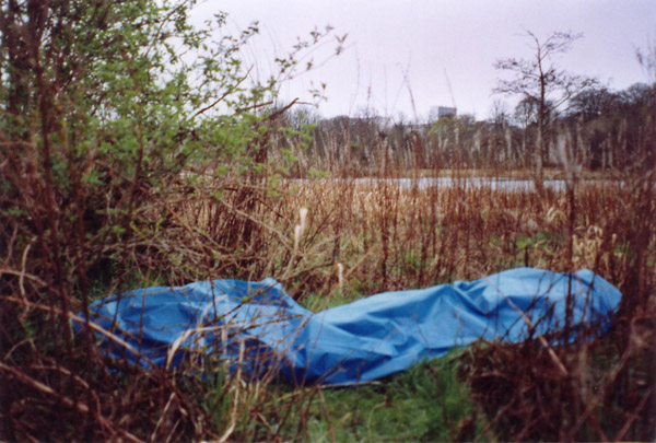 sleeping in the rain