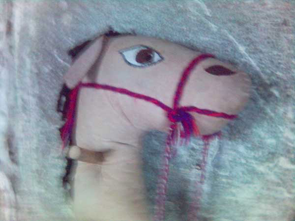 my horse
