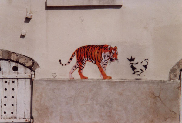 Tiger