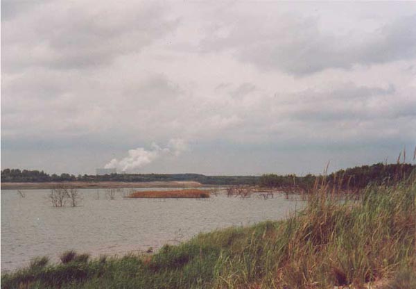 Ein rekultivierter Tagebau,