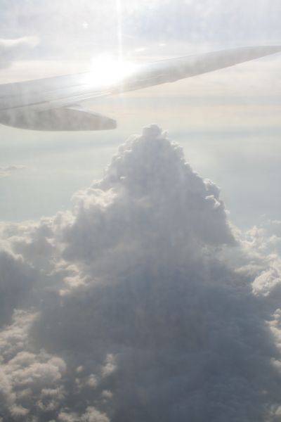 Flug