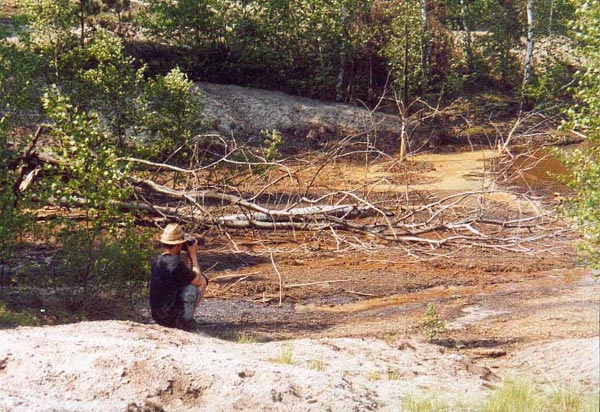 Bizzares braunes Gewässer