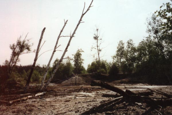 Bizzares braunes Gewässer