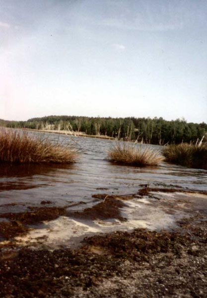 Bizzares braunes Gewässer