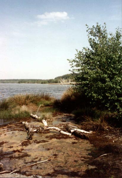 Bizzares braunes Gewässer