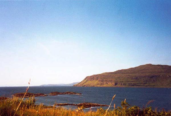 Der Berg mit Fossil Tree gegebueber