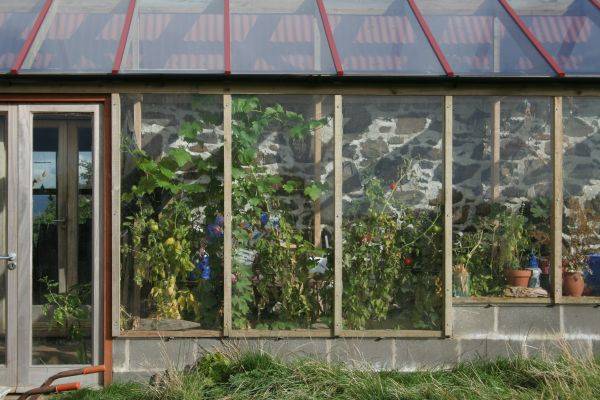 Greenery House