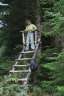 im Wald